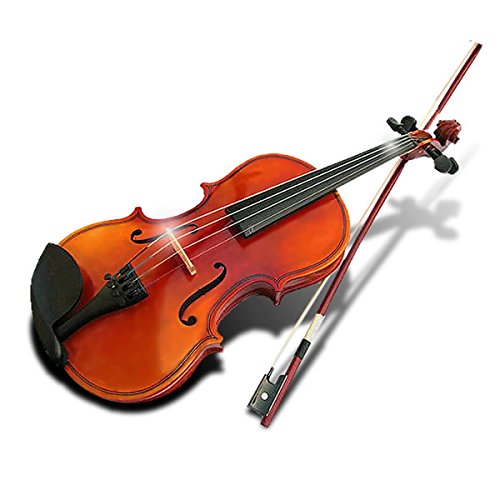 値下げ✴︎初めての人のヴァイオリン⭐︎フルサイズ EASTMAN SVL80 フルサイズ バイオリンセット イーストマン